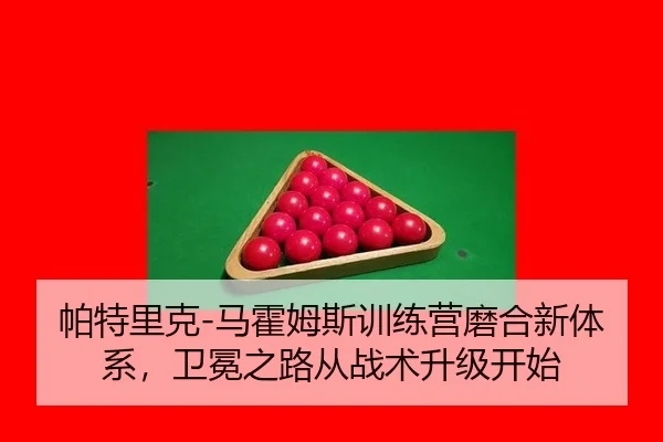 pa-te-li-ke-ma-huo-mu-si-xun-lian-ying-mo-he-xin-ti-xi-wei-mian-zhi-lu-cong-zhan-shu-sheng-ji-kai-shi-2-392.jpg