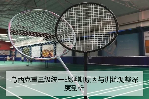 乌西克重量级统一战延期原因与训练调整深度剖析
